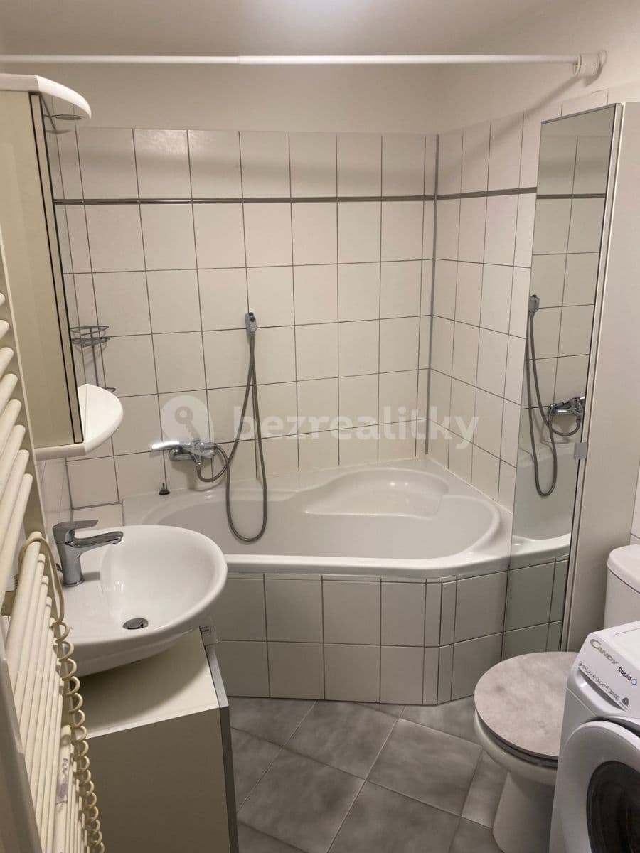 1 bedroom with open-plan kitchen flat to rent, 48 m², Jirečkova, Prague, Prague 1 bedroom with open-plan kitchen flat to rent, 48 m², Jirečkova, Prague, Prague