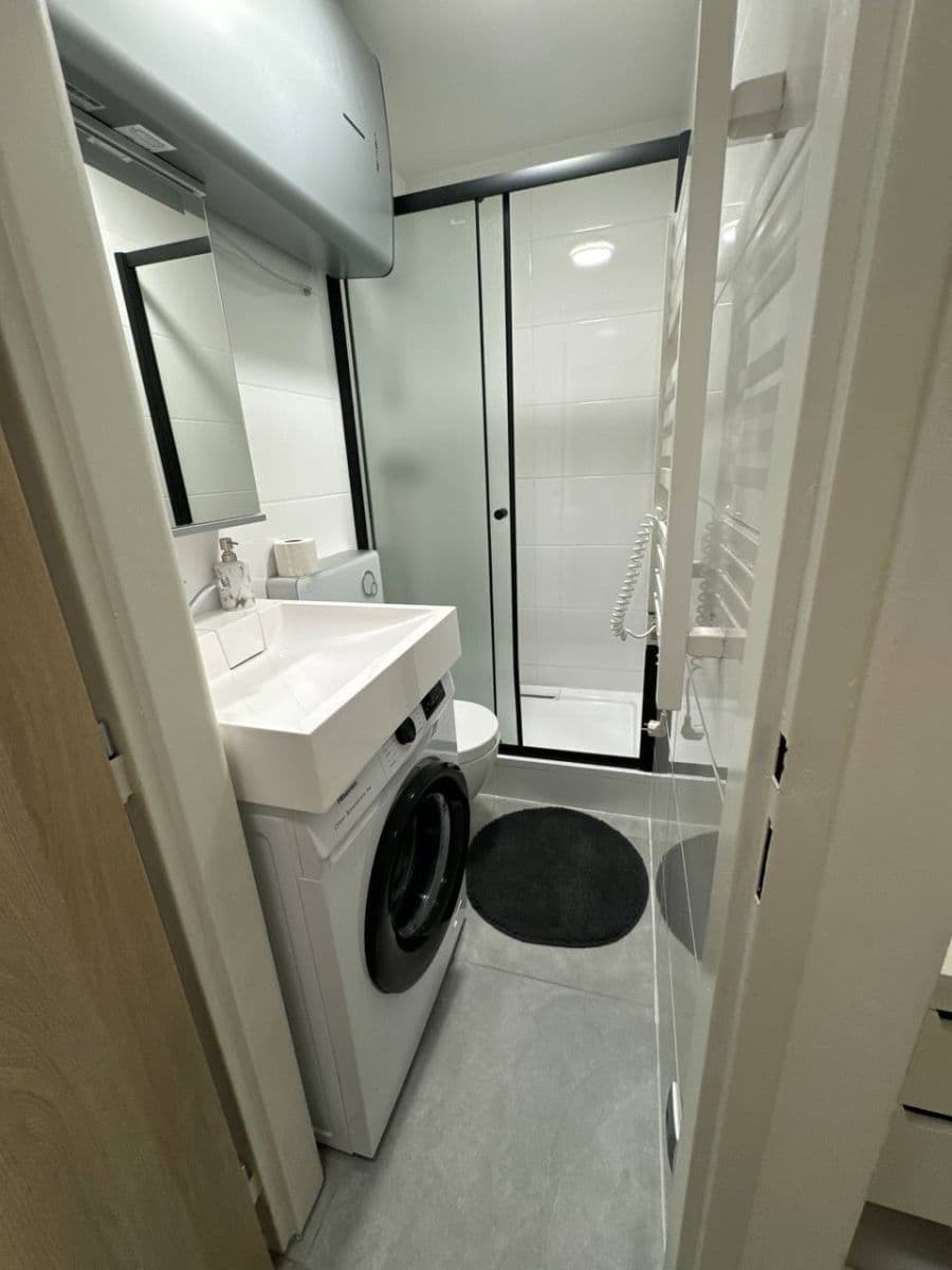 1 bedroom with open-plan kitchen flat to rent, 25 m², Sokolská, Prague, Prague 1 bedroom with open-plan kitchen flat to rent, 25 m², Sokolská, Prague, Prague