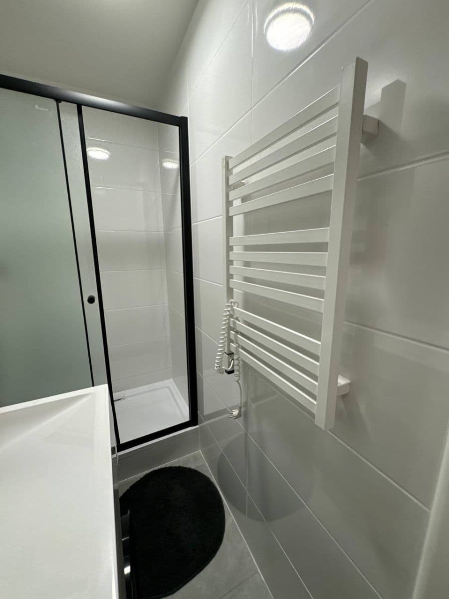 1 bedroom with open-plan kitchen flat to rent, 25 m², Sokolská, Prague, Prague 1 bedroom with open-plan kitchen flat to rent, 25 m², Sokolská, Prague, Prague