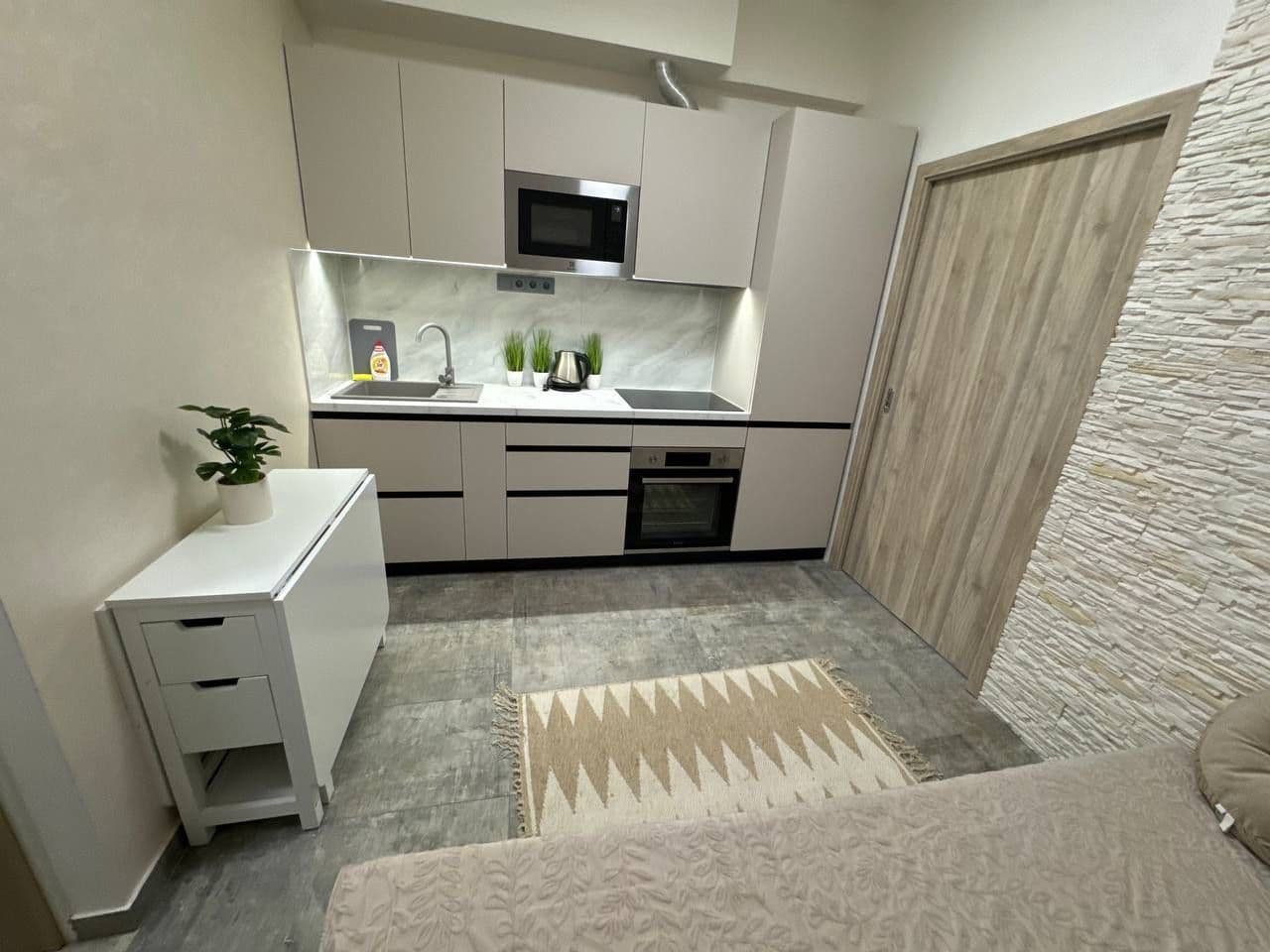 1 bedroom with open-plan kitchen flat to rent, 25 m², Sokolská, Prague, Prague 1 bedroom with open-plan kitchen flat to rent, 25 m², Sokolská, Prague, Prague