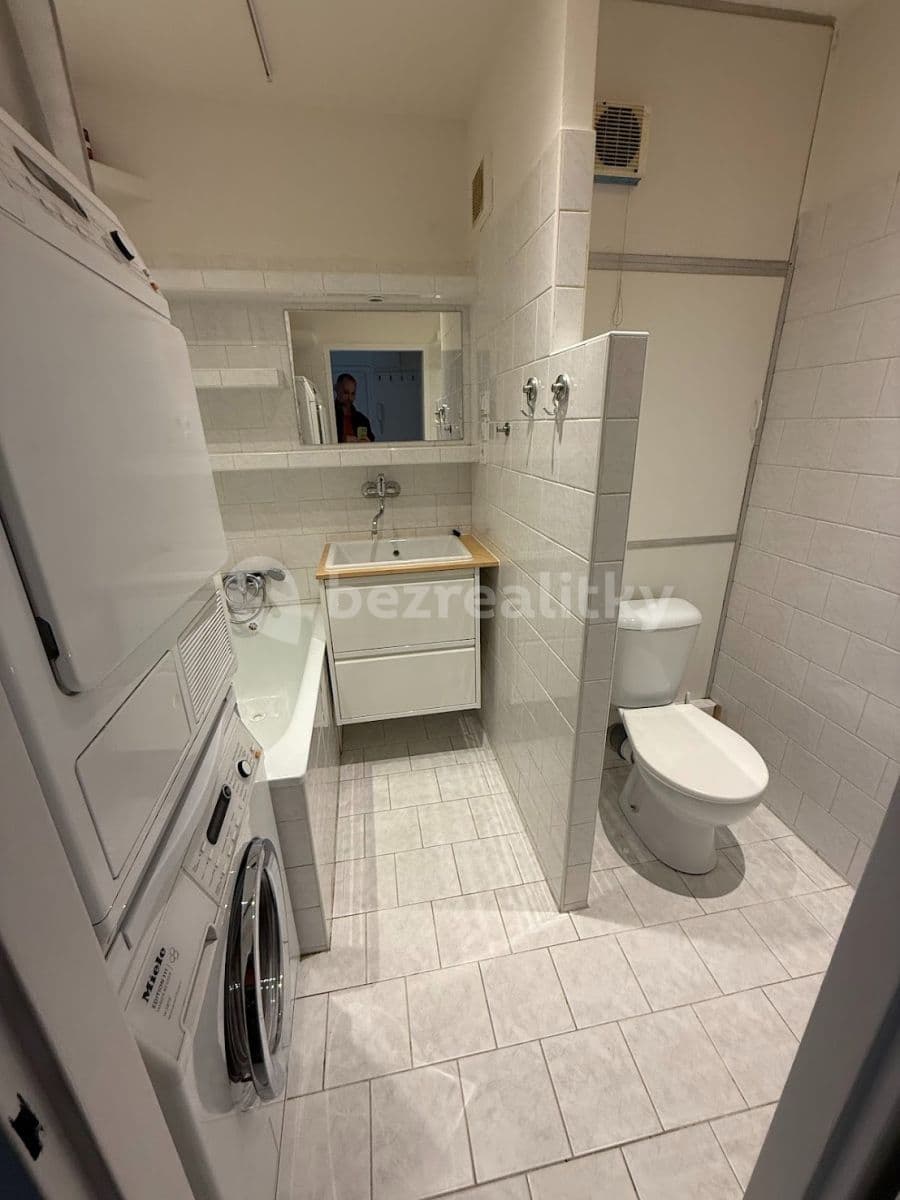 1 bedroom with open-plan kitchen flat to rent, 43 m², Skuteckého, Prague, Prague 1 bedroom with open-plan kitchen flat to rent, 43 m², Skuteckého, Prague, Prague