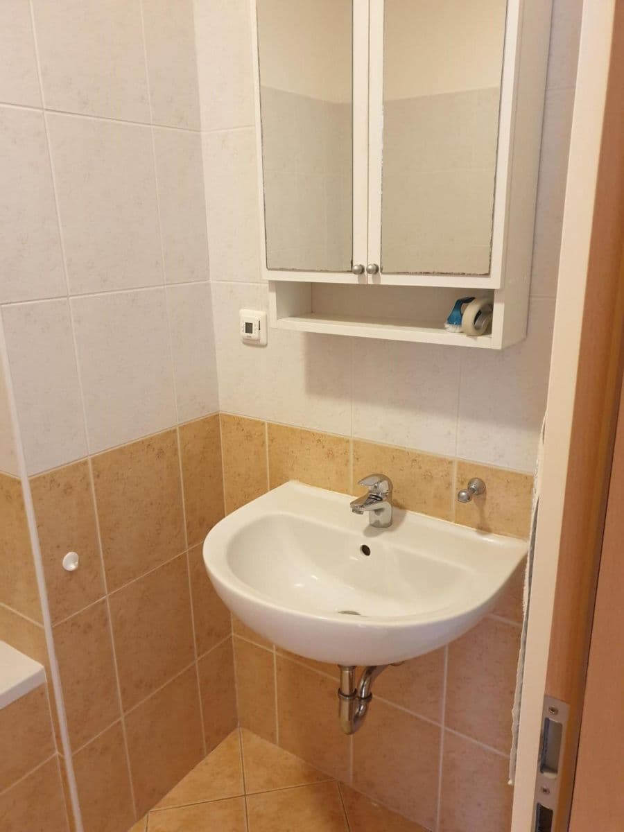 1 bedroom with open-plan kitchen flat for sale, 72 m², Libočanská, Prague, Prague 1 bedroom with open-plan kitchen flat for sale, 72 m², Libočanská, Prague, Prague