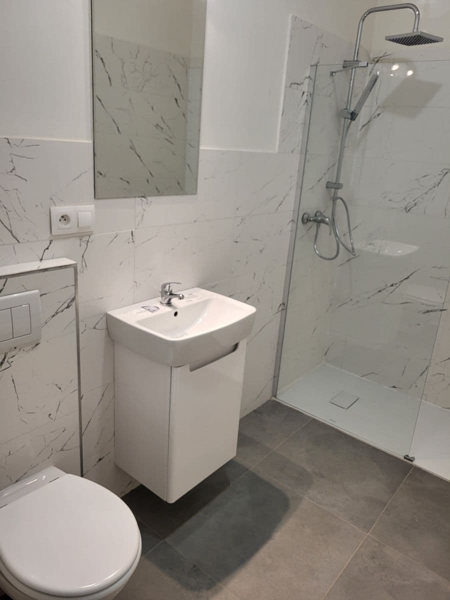 1 bedroom with open-plan kitchen flat to rent, 58 m², Netluky, Prague, Prague 1 bedroom with open-plan kitchen flat to rent, 58 m², Netluky, Prague, Prague