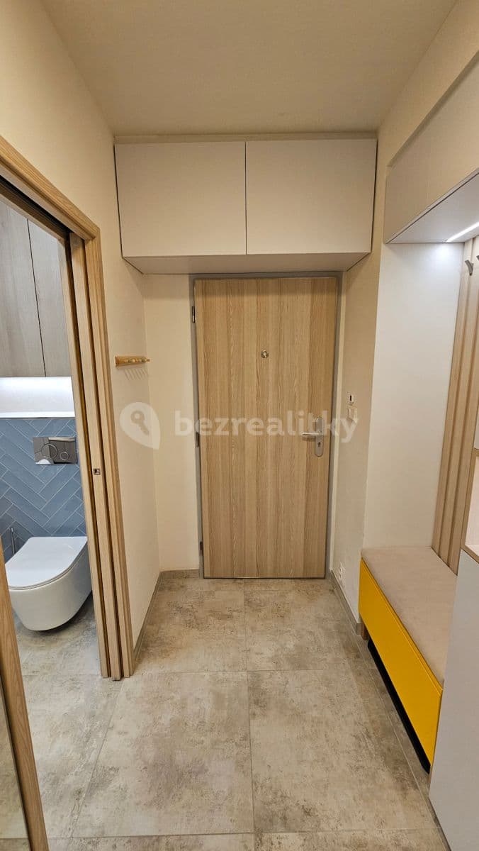 2 bedroom with open-plan kitchen flat to rent, 52 m², Buková, Prague, Prague 2 bedroom with open-plan kitchen flat to rent, 52 m², Buková, Prague, Prague