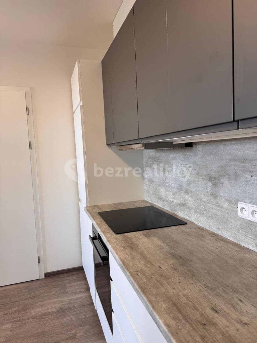 1 bedroom with open-plan kitchen flat to rent, 50 m², Prague, Prague 1 bedroom with open-plan kitchen flat to rent, 50 m², Prague, Prague