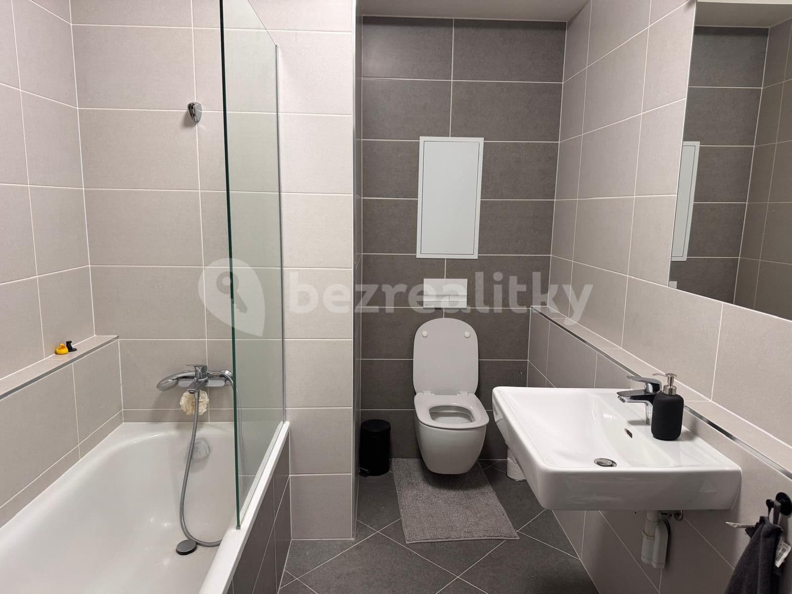 1 bedroom with open-plan kitchen flat to rent, 50 m², Prague, Prague 1 bedroom with open-plan kitchen flat to rent, 50 m², Prague, Prague