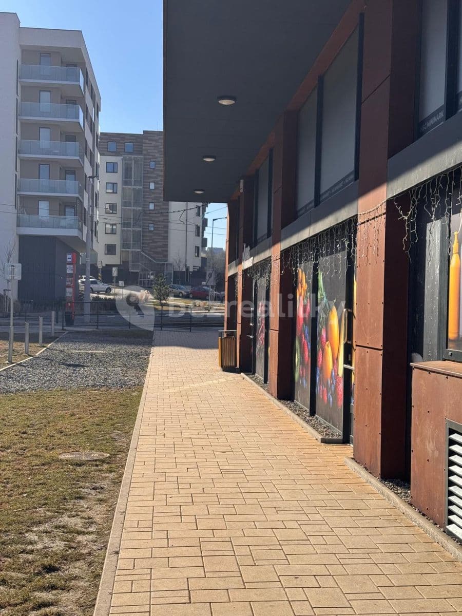 1 bedroom with open-plan kitchen flat to rent, 50 m², Prague, Prague 1 bedroom with open-plan kitchen flat to rent, 50 m², Prague, Prague