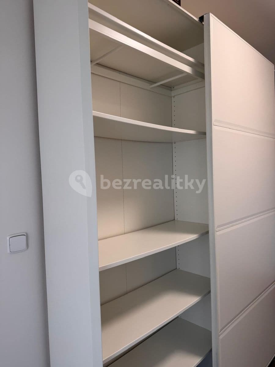 1 bedroom with open-plan kitchen flat to rent, 50 m², Prague, Prague 1 bedroom with open-plan kitchen flat to rent, 50 m², Prague, Prague