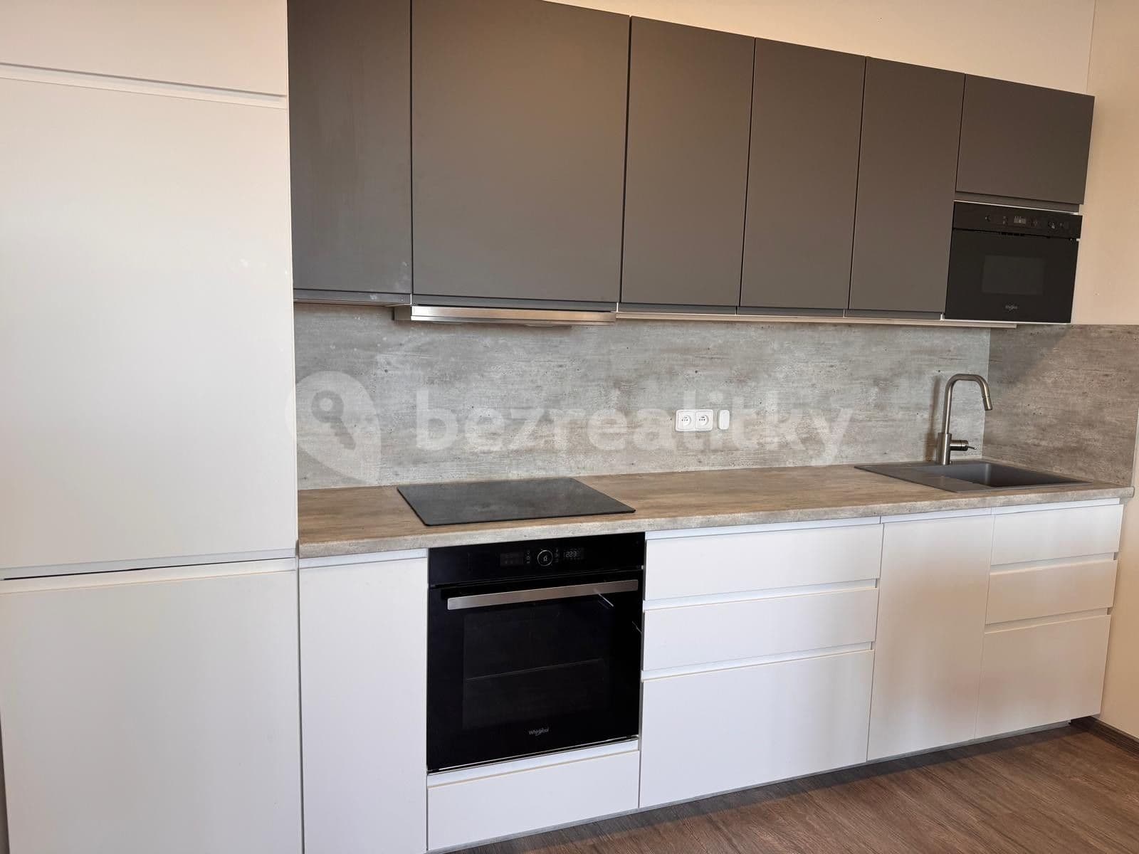 1 bedroom with open-plan kitchen flat to rent, 50 m², Prague, Prague 1 bedroom with open-plan kitchen flat to rent, 50 m², Prague, Prague