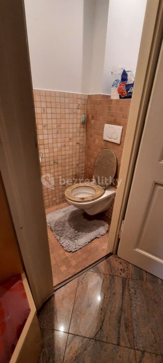 1 bedroom with open-plan kitchen flat to rent, 55 m², Vinohradská, Prague, Prague 1 bedroom with open-plan kitchen flat to rent, 55 m², Vinohradská, Prague, Prague