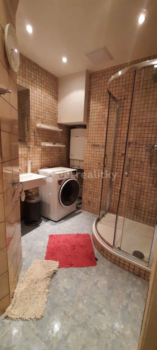 1 bedroom with open-plan kitchen flat to rent, 55 m², Vinohradská, Prague, Prague 1 bedroom with open-plan kitchen flat to rent, 55 m², Vinohradská, Prague, Prague