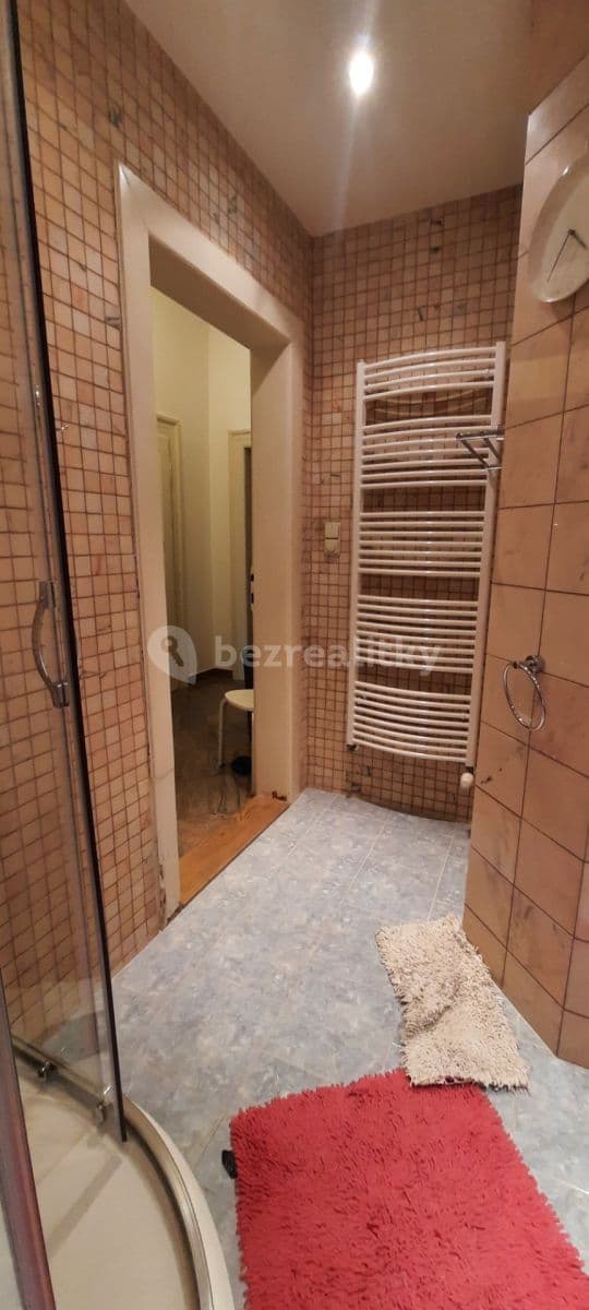 1 bedroom with open-plan kitchen flat to rent, 55 m², Vinohradská, Prague, Prague 1 bedroom with open-plan kitchen flat to rent, 55 m², Vinohradská, Prague, Prague