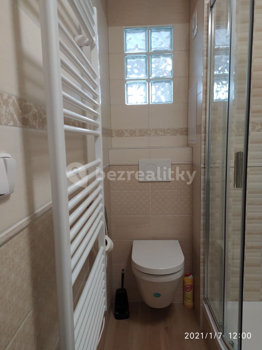 1 bedroom with open-plan kitchen flat to rent, 32 m², Brožíkova, Hradec Králové, Královéhradecký Region 1 bedroom with open-plan kitchen flat to rent, 32 m², Brožíkova, Hradec Králové, Královéhradecký Region