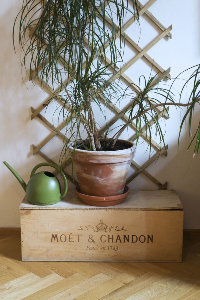 flat to rent, 50 m², Slavojova, Prague, Prague flat to rent, 50 m², Slavojova, Prague, Prague