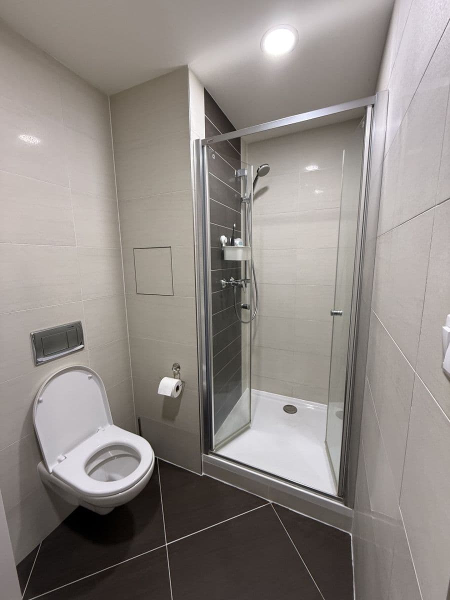 1 bedroom with open-plan kitchen flat to rent, 50 m², Kramperova, Prague, Prague 1 bedroom with open-plan kitchen flat to rent, 50 m², Kramperova, Prague, Prague
