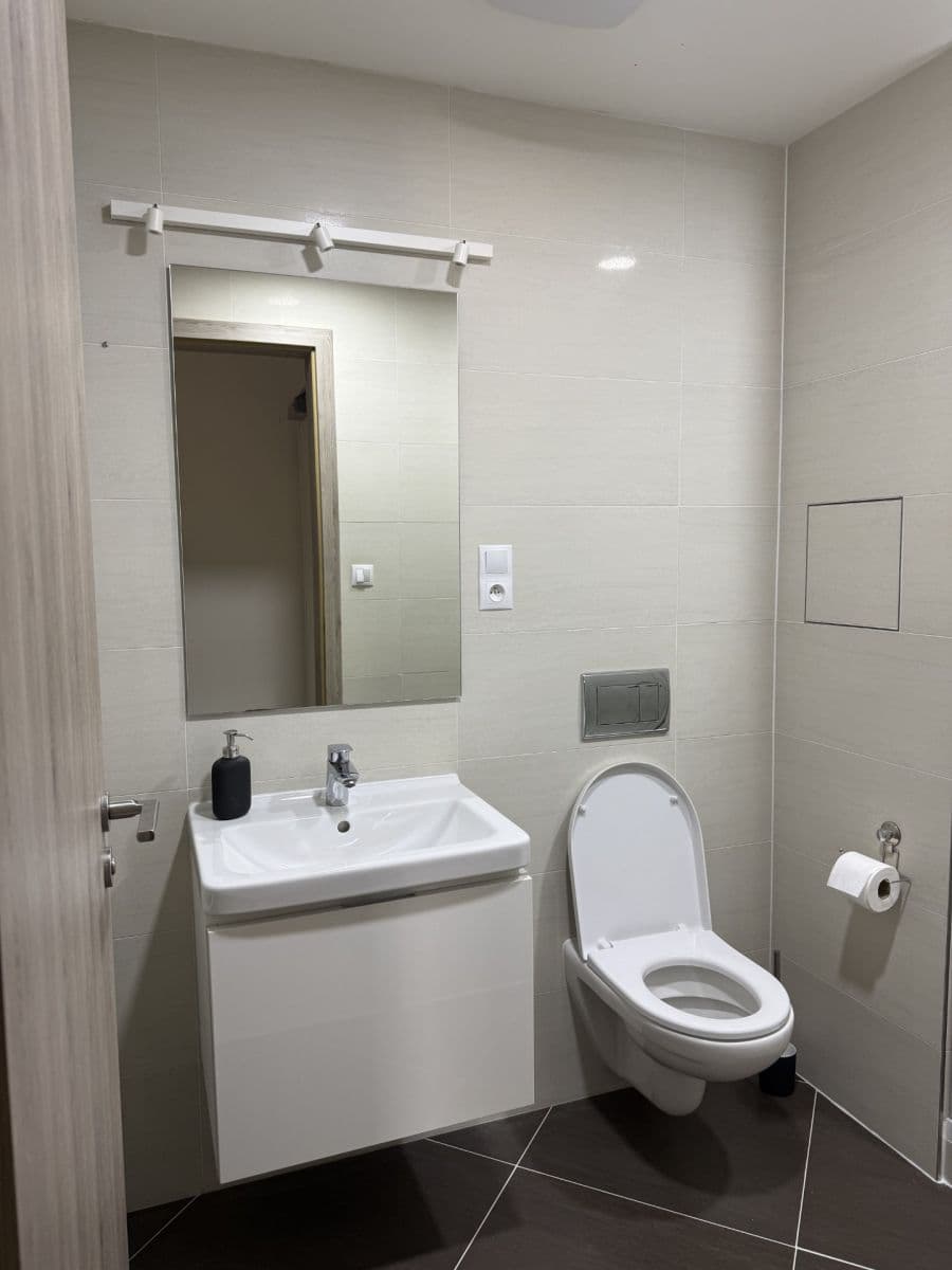 1 bedroom with open-plan kitchen flat to rent, 50 m², Kramperova, Prague, Prague 1 bedroom with open-plan kitchen flat to rent, 50 m², Kramperova, Prague, Prague