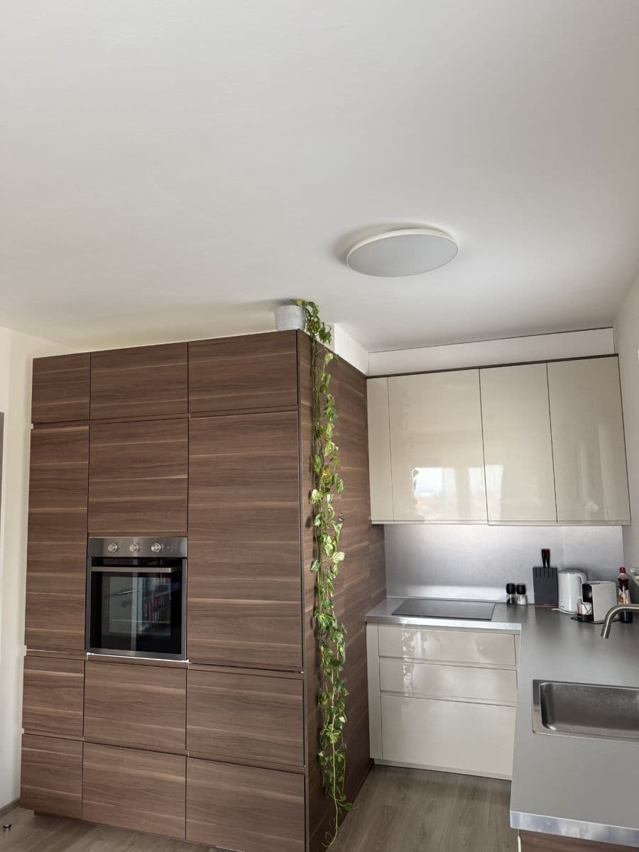 1 bedroom with open-plan kitchen flat to rent, 50 m², Kramperova, Prague, Prague 1 bedroom with open-plan kitchen flat to rent, 50 m², Kramperova, Prague, Prague