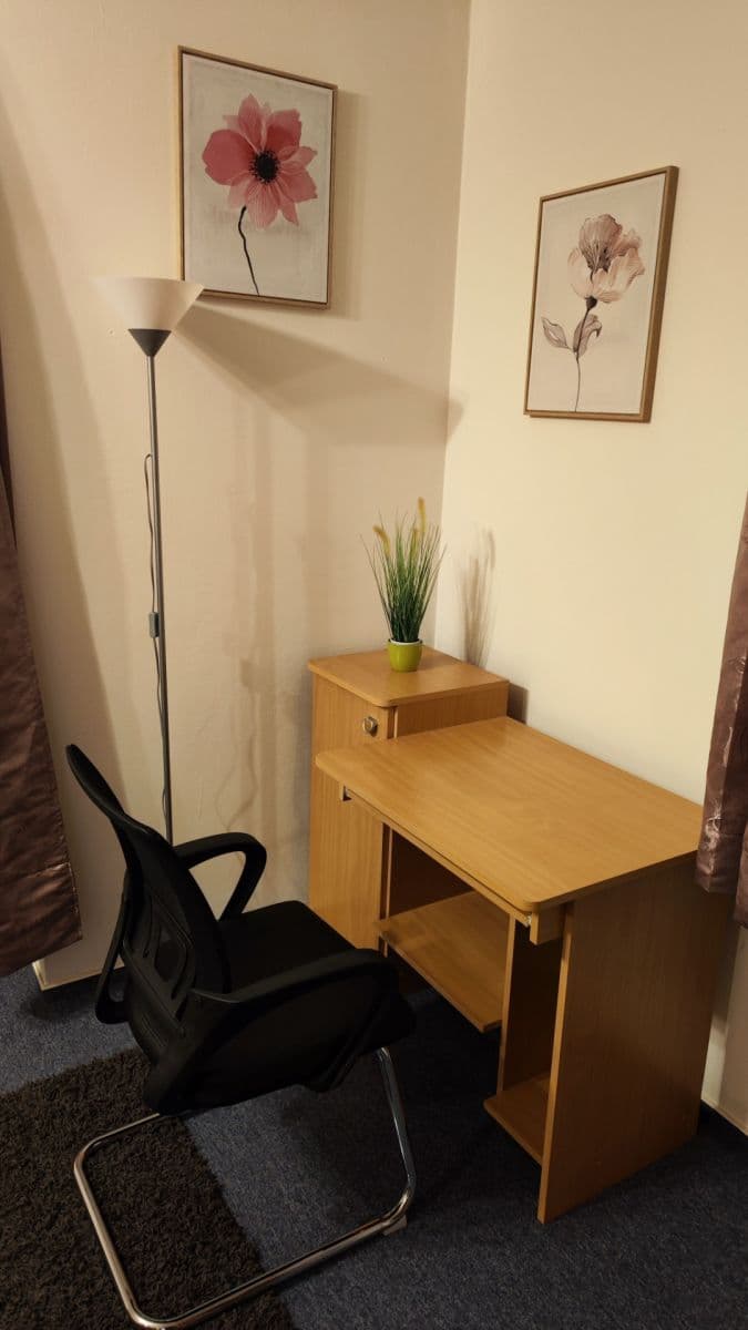 1 bedroom with open-plan kitchen flat to rent, 52 m², Tavolníková, Prague, Prague 1 bedroom with open-plan kitchen flat to rent, 52 m², Tavolníková, Prague, Prague