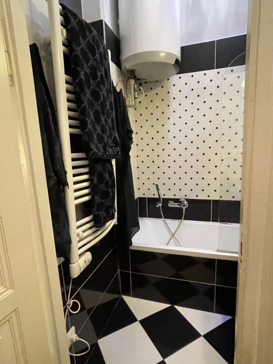 1 bedroom with open-plan kitchen flat to rent, 56 m², Kamenická, Prague, Prague 1 bedroom with open-plan kitchen flat to rent, 56 m², Kamenická, Prague, Prague