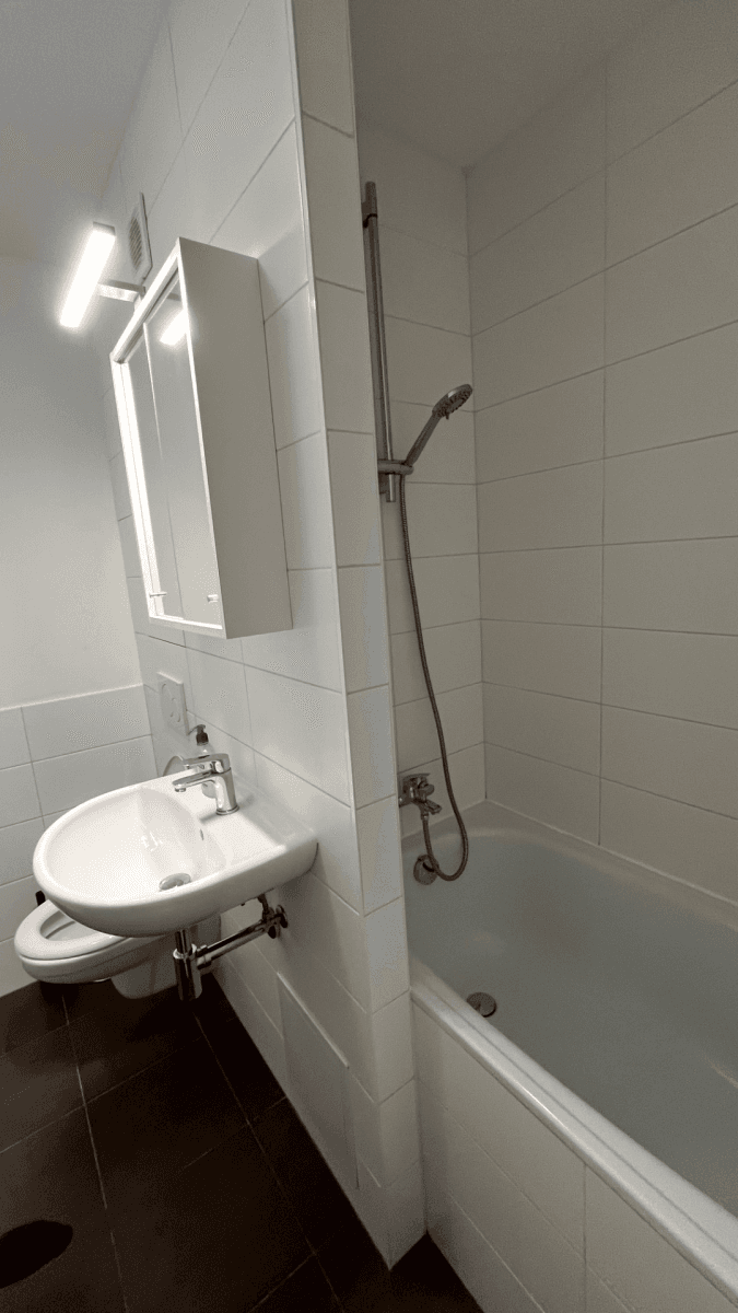 1 bedroom with open-plan kitchen flat to rent, 45 m², Ohradní, Prague, Prague 1 bedroom with open-plan kitchen flat to rent, 45 m², Ohradní, Prague, Prague