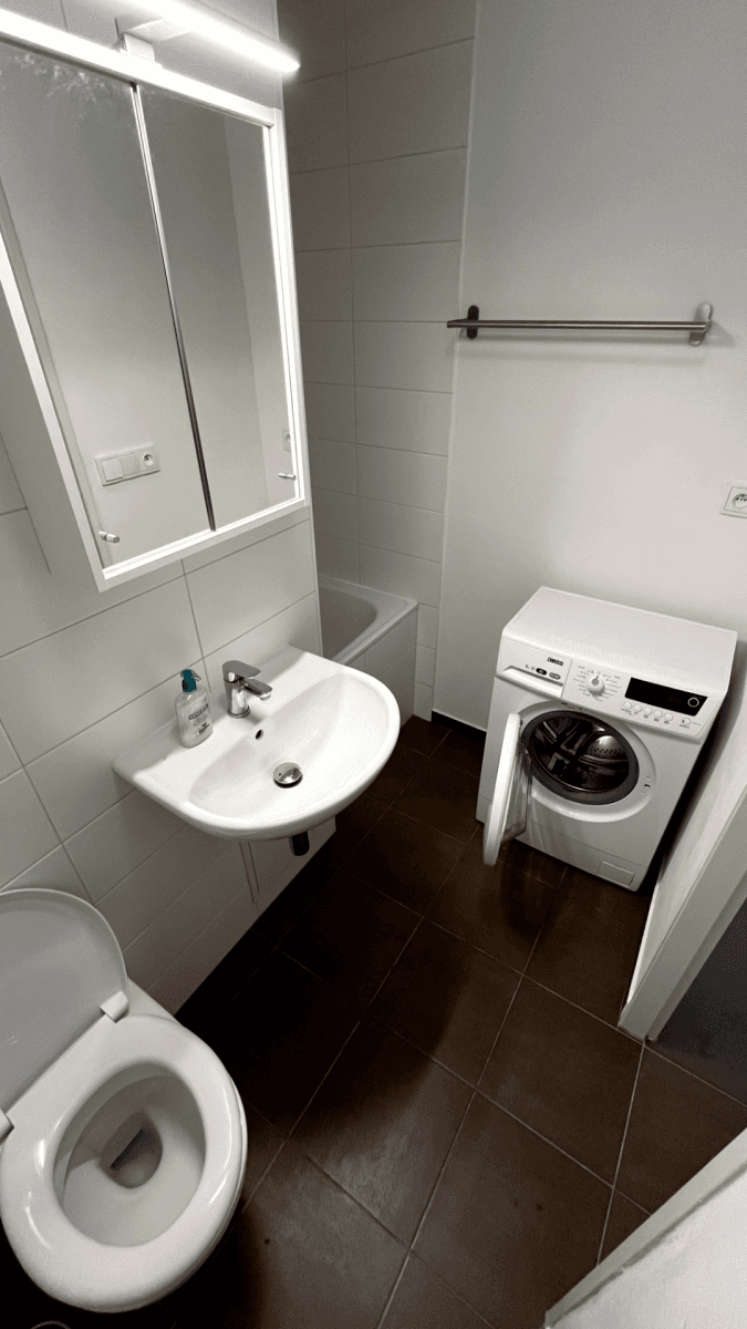 1 bedroom with open-plan kitchen flat to rent, 45 m², Ohradní, Prague, Prague 1 bedroom with open-plan kitchen flat to rent, 45 m², Ohradní, Prague, Prague