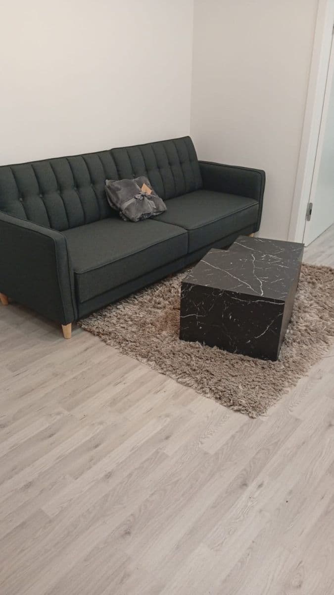 1 bedroom with open-plan kitchen flat to rent, 71 m², Milady Horákové, Prague, Prague 1 bedroom with open-plan kitchen flat to rent, 71 m², Milady Horákové, Prague, Prague