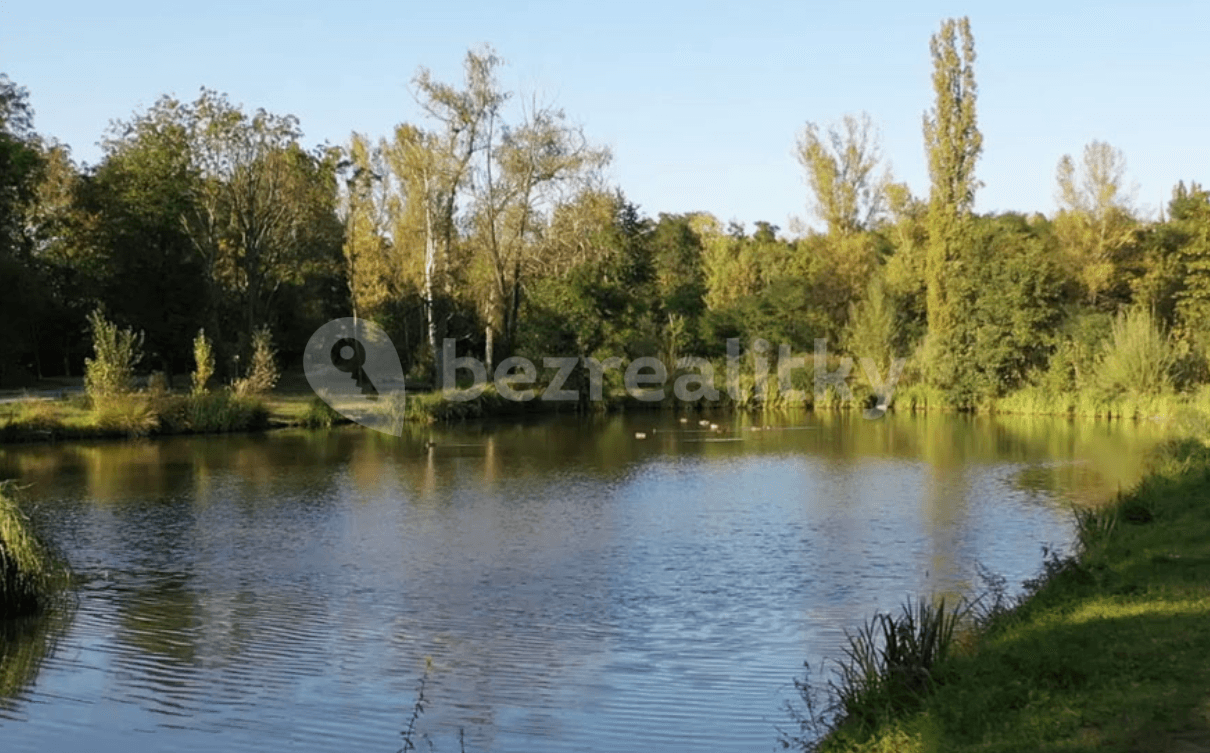 Studio flat to rent, 32 m², Poděbradská, Prague, Prague Studio flat to rent, 32 m², Poděbradská, Prague, Prague