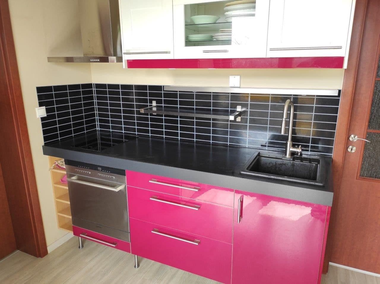 1 bedroom with open-plan kitchen flat to rent, 53 m², V Javorech, Prague, Prague 1 bedroom with open-plan kitchen flat to rent, 53 m², V Javorech, Prague, Prague