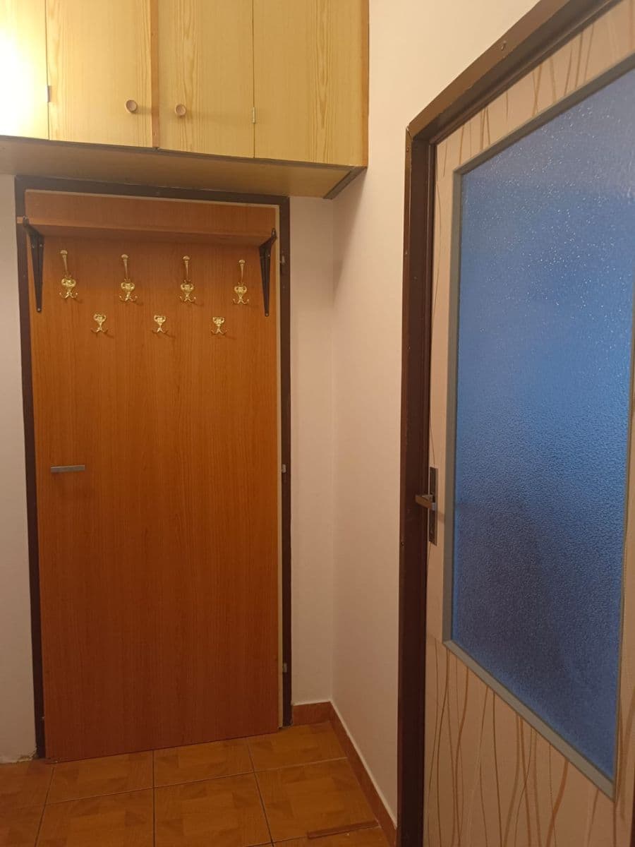 1 bedroom with open-plan kitchen flat to rent, 47 m², Durychova, Hradec Králové, Královéhradecký Region 1 bedroom with open-plan kitchen flat to rent, 47 m², Durychova, Hradec Králové, Královéhradecký Region