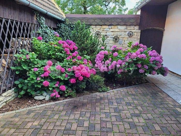 recreational property to rent, 0 m², Javorník, Pardubický Region recreational property to rent, 0 m², Javorník, Pardubický Region