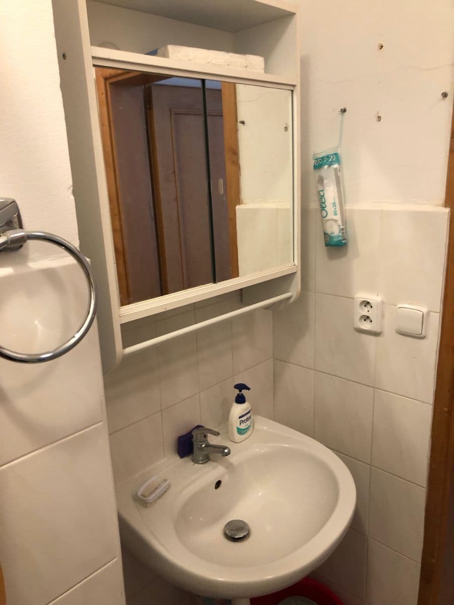 1 bedroom with open-plan kitchen flat to rent, 39 m², Mečeříž, Středočeský Region 1 bedroom with open-plan kitchen flat to rent, 39 m², Mečeříž, Středočeský Region