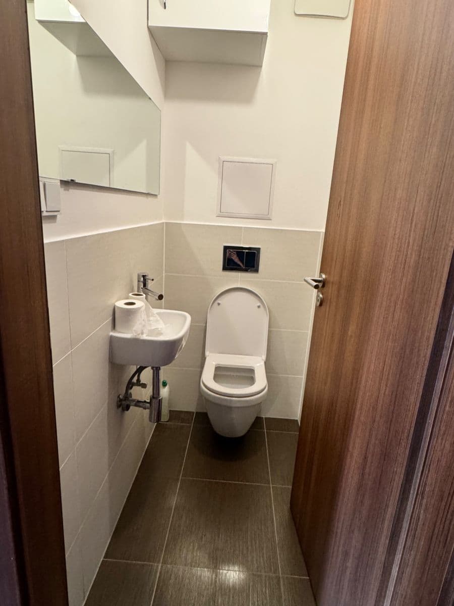 1 bedroom with open-plan kitchen flat to rent, 51 m², Počernická, Prague, Prague 1 bedroom with open-plan kitchen flat to rent, 51 m², Počernická, Prague, Prague