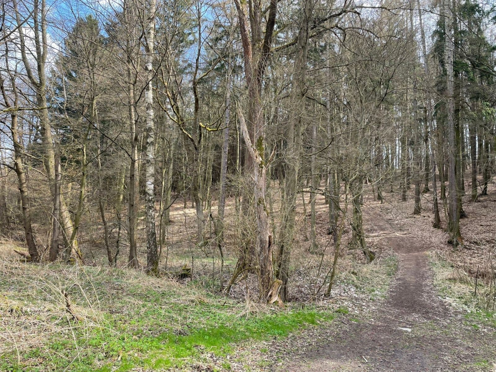 plot for sale, 4,987 m², Mnichovice, Středočeský Region plot for sale, 4,987 m², Mnichovice, Středočeský Region