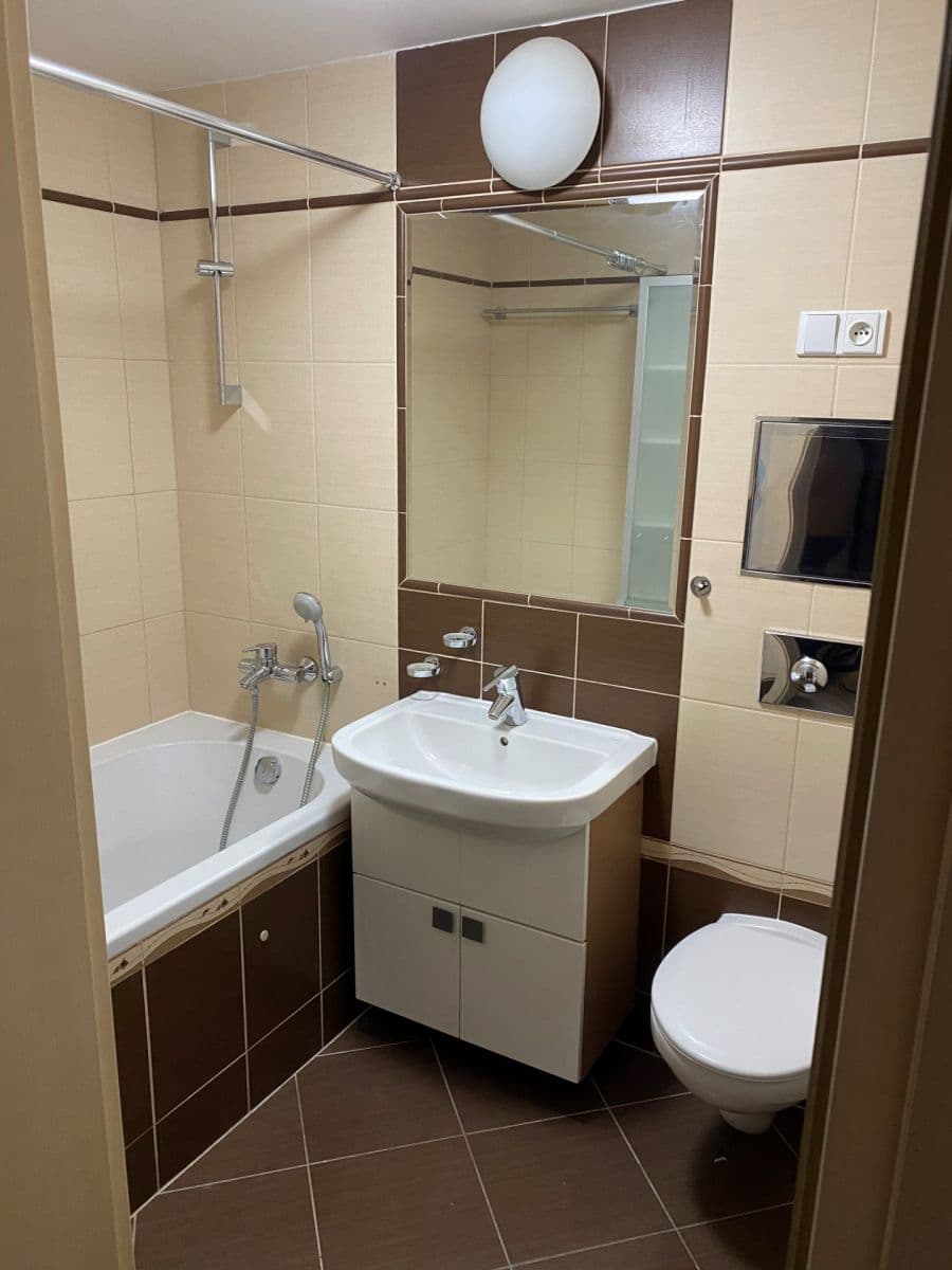 1 bedroom with open-plan kitchen flat to rent, 68 m², Gutova, Prague, Prague 1 bedroom with open-plan kitchen flat to rent, 68 m², Gutova, Prague, Prague