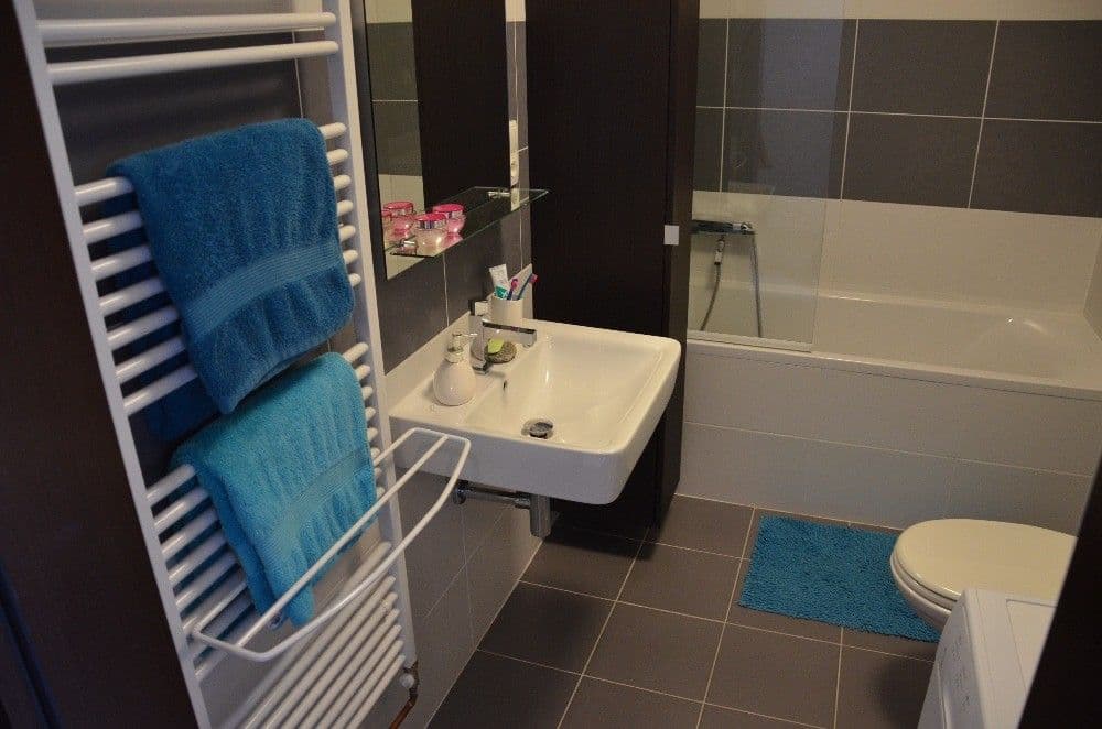 1 bedroom with open-plan kitchen flat to rent, 54 m², Kounicova, Brno, Jihomoravský Region 1 bedroom with open-plan kitchen flat to rent, 54 m², Kounicova, Brno, Jihomoravský Region