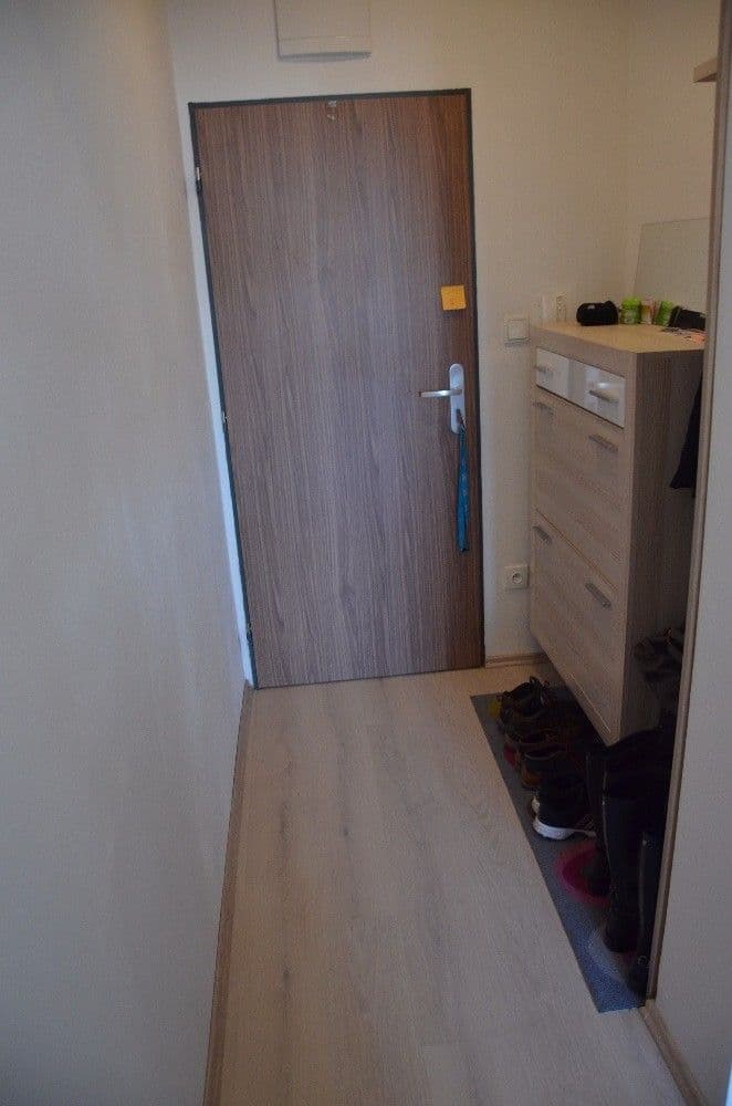 1 bedroom with open-plan kitchen flat to rent, 54 m², Kounicova, Brno, Jihomoravský Region 1 bedroom with open-plan kitchen flat to rent, 54 m², Kounicova, Brno, Jihomoravský Region