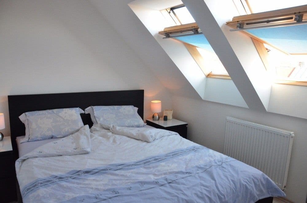 1 bedroom with open-plan kitchen flat to rent, 54 m², Kounicova, Brno, Jihomoravský Region 1 bedroom with open-plan kitchen flat to rent, 54 m², Kounicova, Brno, Jihomoravský Region