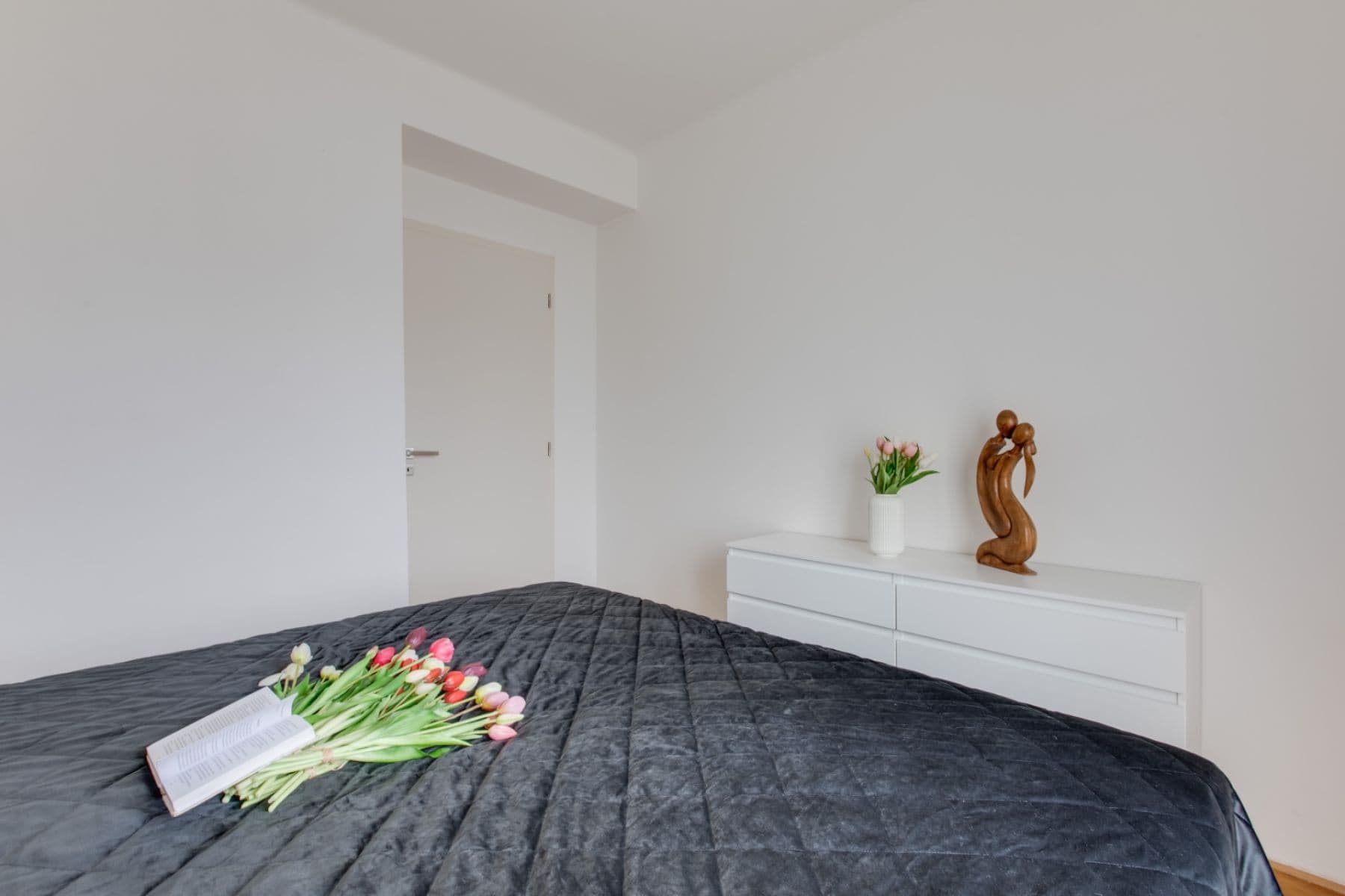 2 bedroom with open-plan kitchen flat to rent, 72 m², U Hranic, Prague, Prague 2 bedroom with open-plan kitchen flat to rent, 72 m², U Hranic, Prague, Prague