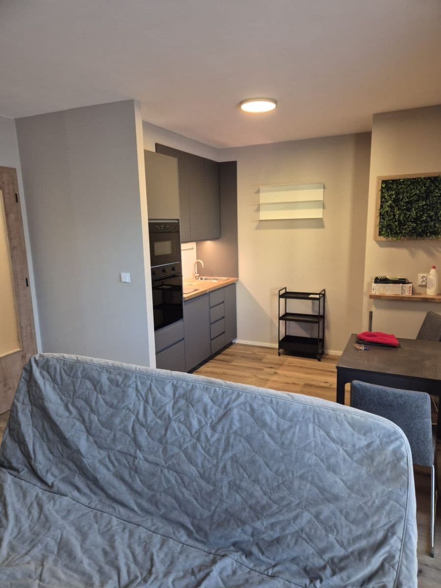 1 bedroom with open-plan kitchen flat to rent, 30 m², Křižíkova, Prague, Prague 1 bedroom with open-plan kitchen flat to rent, 30 m², Křižíkova, Prague, Prague