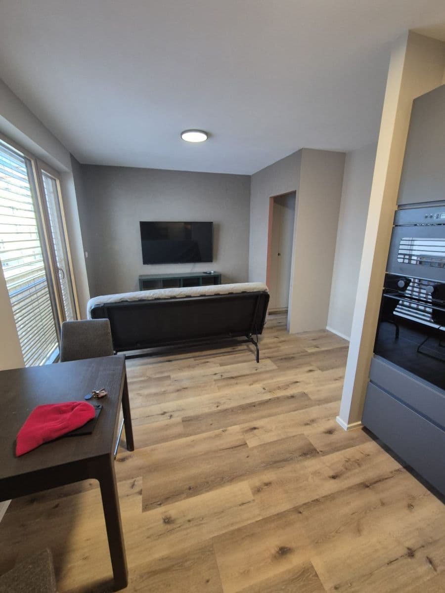 1 bedroom with open-plan kitchen flat to rent, 30 m², Křižíkova, Prague, Prague 1 bedroom with open-plan kitchen flat to rent, 30 m², Křižíkova, Prague, Prague