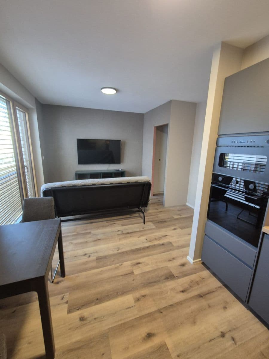 1 bedroom with open-plan kitchen flat to rent, 30 m², Křižíkova, Prague, Prague 1 bedroom with open-plan kitchen flat to rent, 30 m², Křižíkova, Prague, Prague