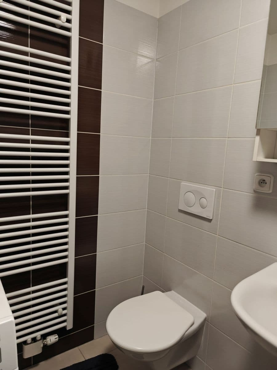 Studio flat to rent, 45 m², Božetěchova, Brno, Jihomoravský Region Studio flat to rent, 45 m², Božetěchova, Brno, Jihomoravský Region