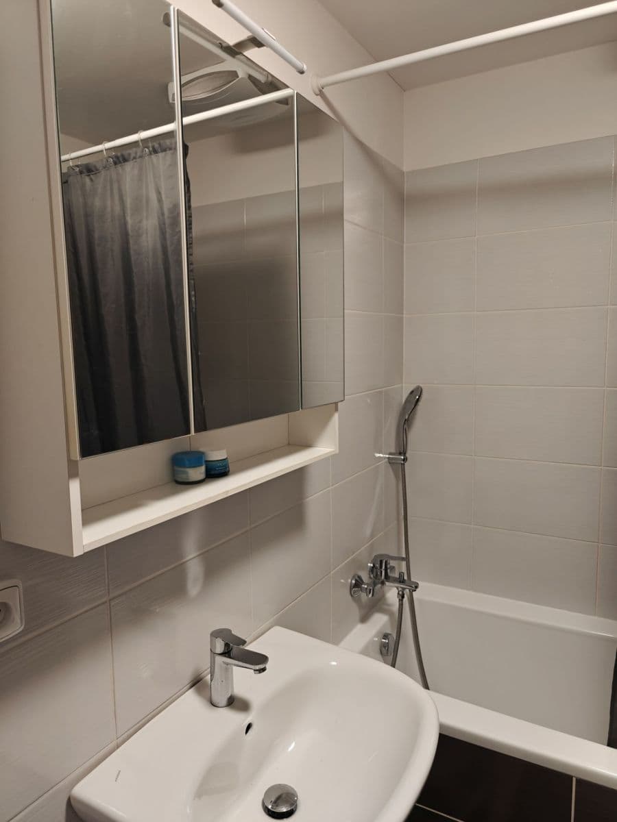 Studio flat to rent, 45 m², Božetěchova, Brno, Jihomoravský Region Studio flat to rent, 45 m², Božetěchova, Brno, Jihomoravský Region
