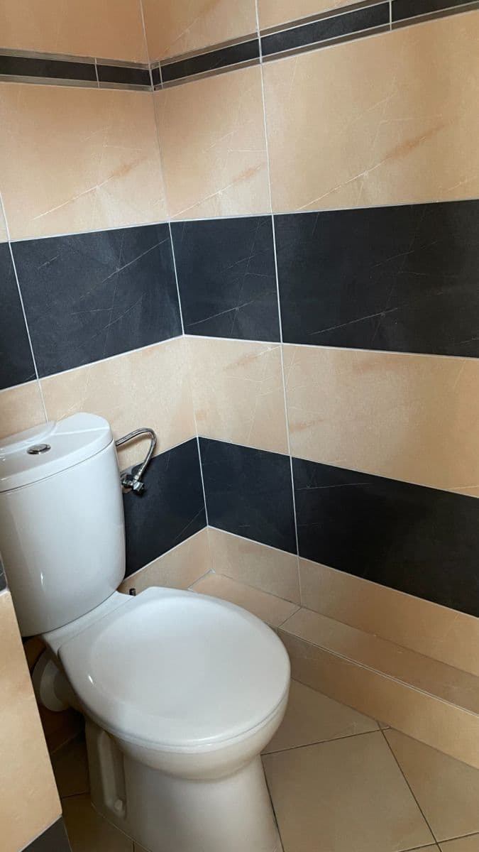 1 bedroom with open-plan kitchen flat to rent, 62 m², Skloněná, Prague, Prague 1 bedroom with open-plan kitchen flat to rent, 62 m², Skloněná, Prague, Prague