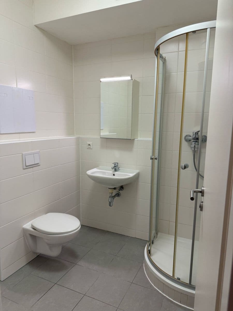 Studio flat to rent, 38 m², Olgy Havlové, Prague, Prague Studio flat to rent, 38 m², Olgy Havlové, Prague, Prague