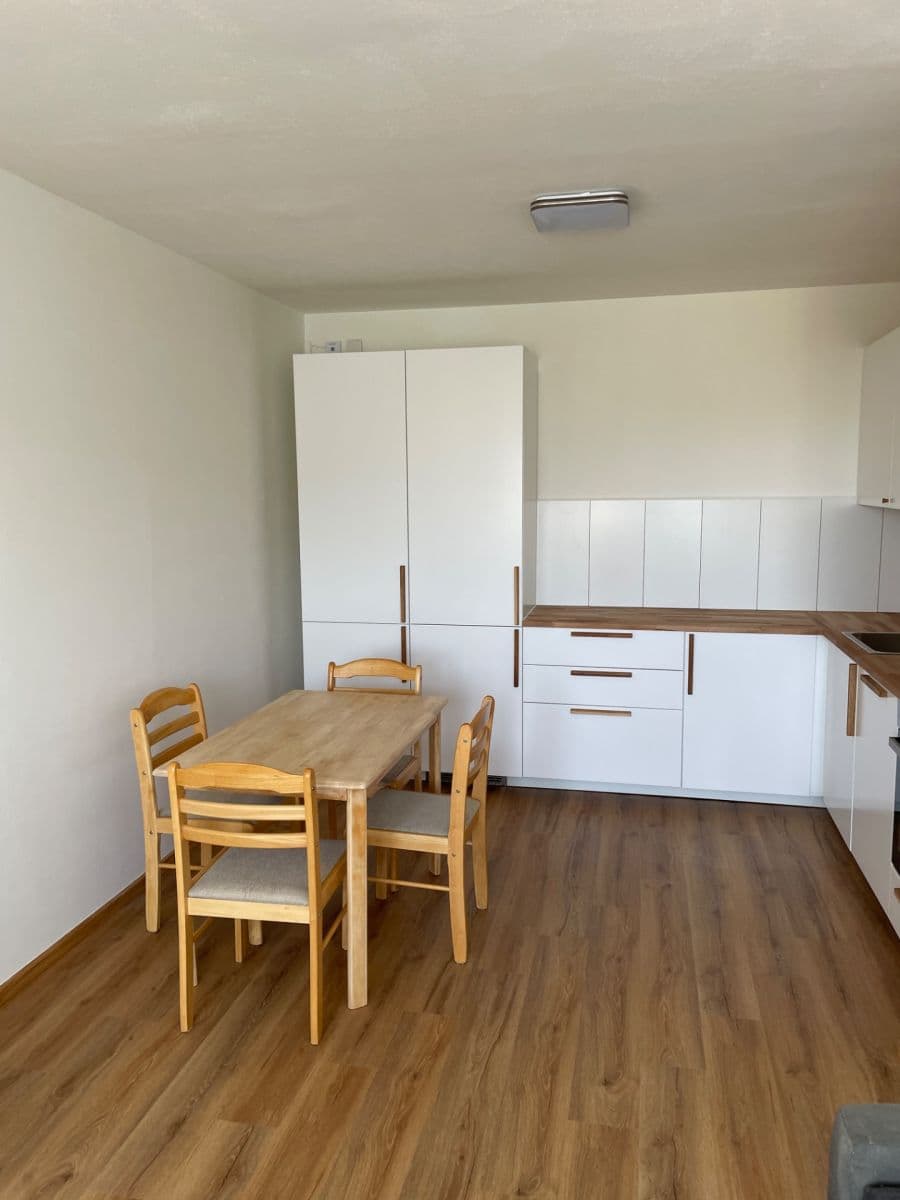 1 bedroom with open-plan kitchen flat to rent, 47 m², Oblá, Brno, Jihomoravský Region 1 bedroom with open-plan kitchen flat to rent, 47 m², Oblá, Brno, Jihomoravský Region
