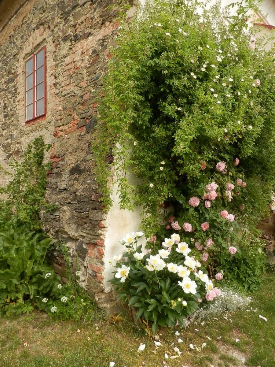 recreational property to rent, 0 m², Hlohovice, Plzeňský Region recreational property to rent, 0 m², Hlohovice, Plzeňský Region