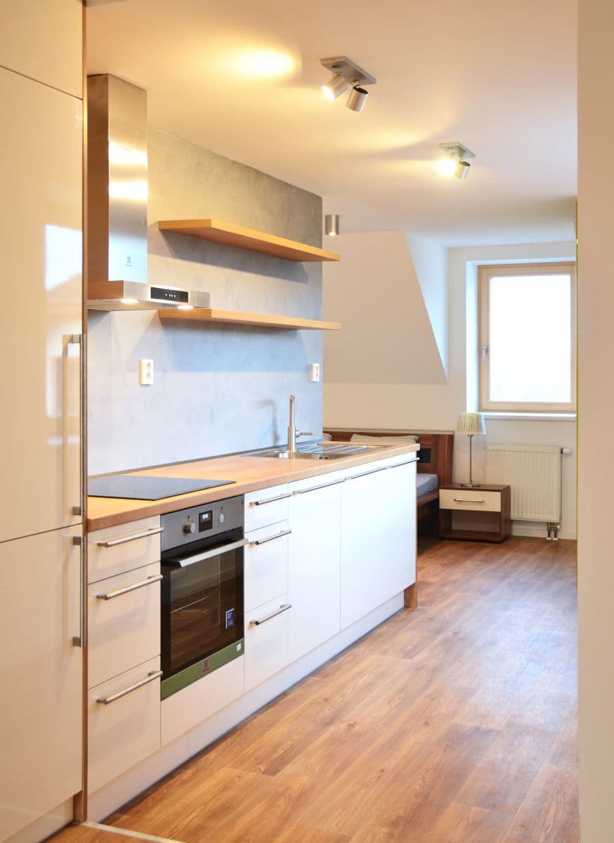 1 bedroom with open-plan kitchen flat to rent, 51 m², U Albrechtova vrchu, Prague, Prague 1 bedroom with open-plan kitchen flat to rent, 51 m², U Albrechtova vrchu, Prague, Prague