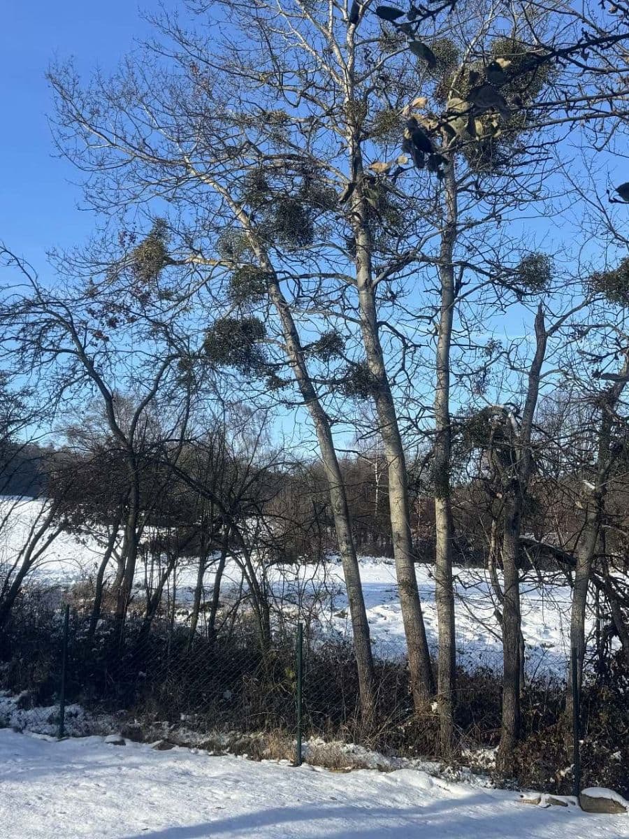 recreational property to rent, 0 m², Vidice, Středočeský Region recreational property to rent, 0 m², Vidice, Středočeský Region