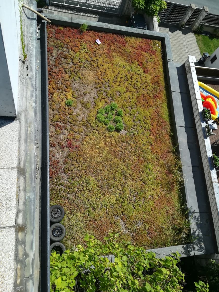 flat to rent, 300 m², Révová, Prague, Prague flat to rent, 300 m², Révová, Prague, Prague